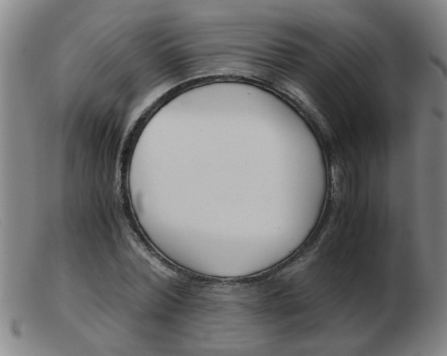 X0000103960780200809191333