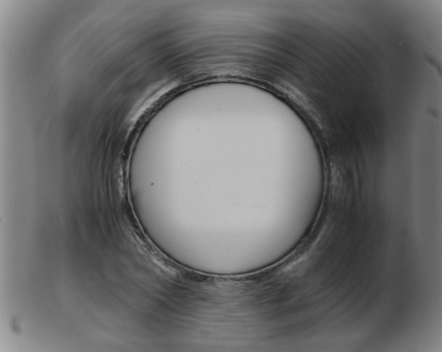 X0000103960782200809191333