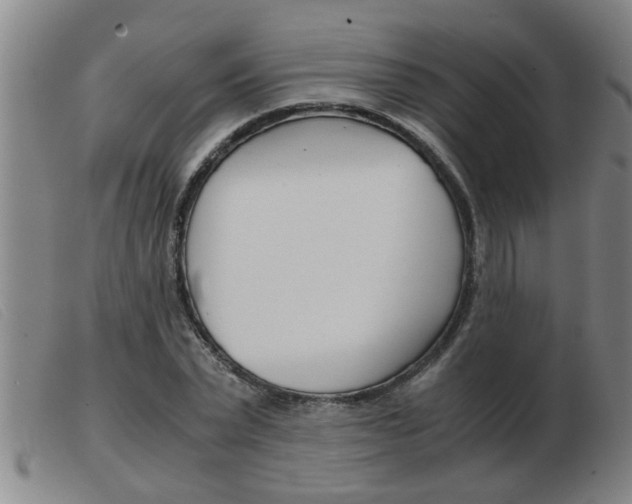 X0000103960783200809191333