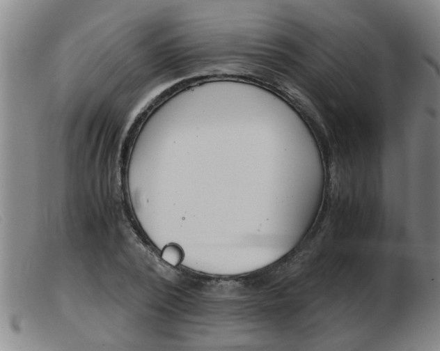 X0000103960784200809191333