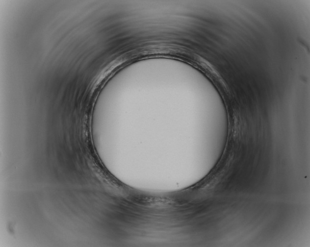 X0000103960786200809191333