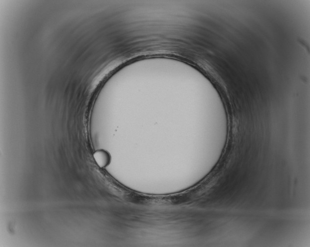 X0000103960789200809191333