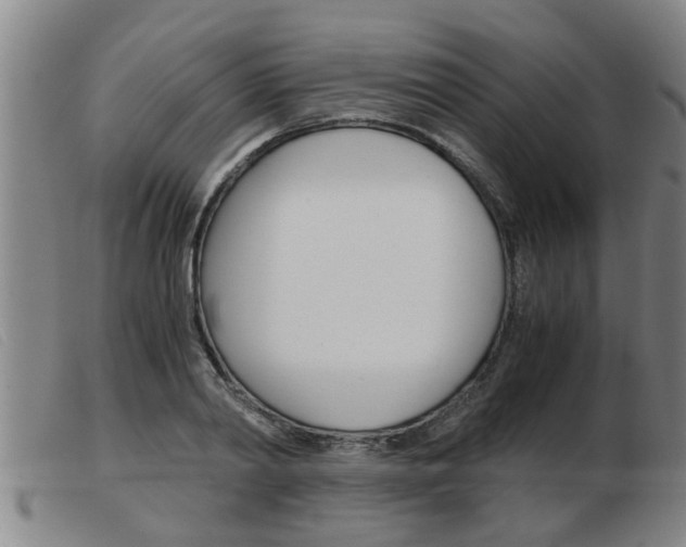 X0000103960790200809191333