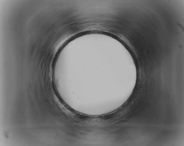 X0000103960791200809191333