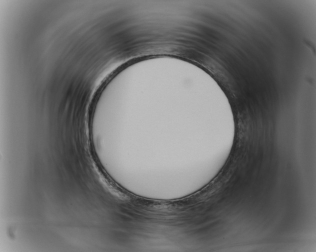 X0000103960792200809191333