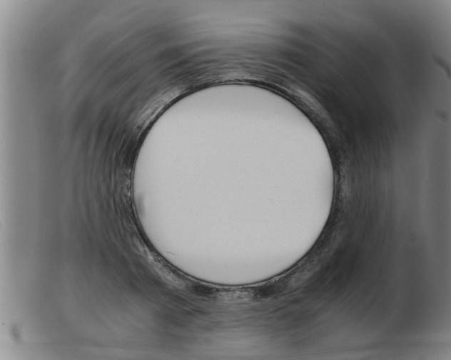 X0000103960793200809191333