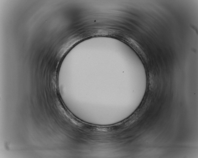 X0000103960794200809191333