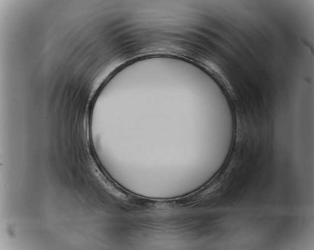 X0000103960796200809191333