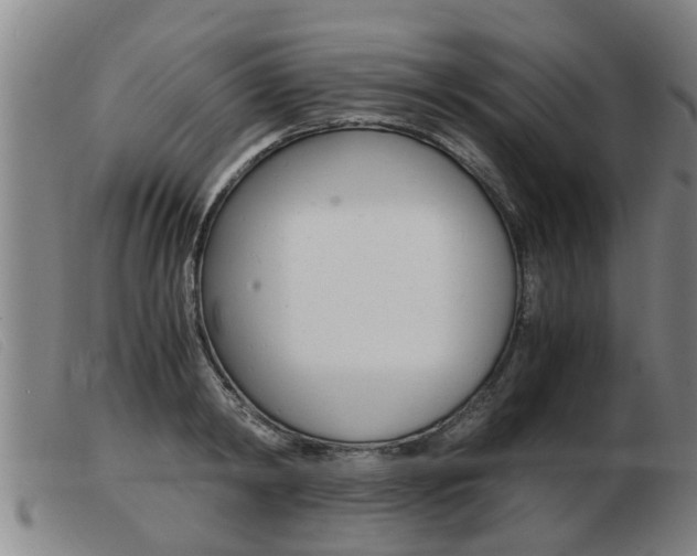 X0000103960798200809191333