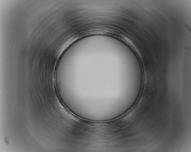X0000103960802200809191333