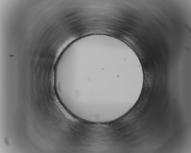X0000103960804200809191333