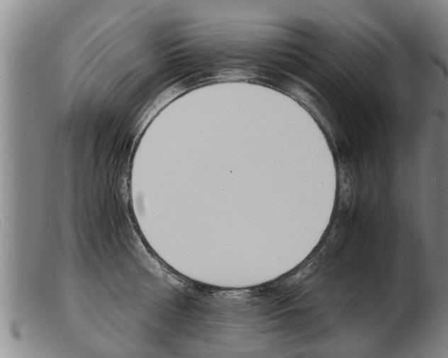 X0000103960810200809191333