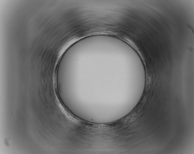 X0000103960811200809191333