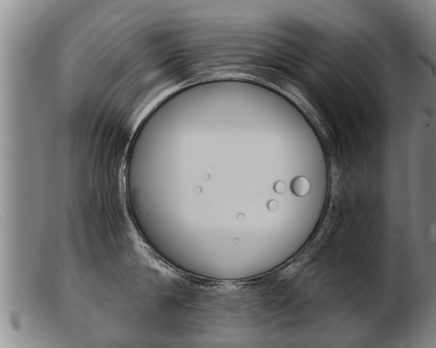 X0000103960814200809191333