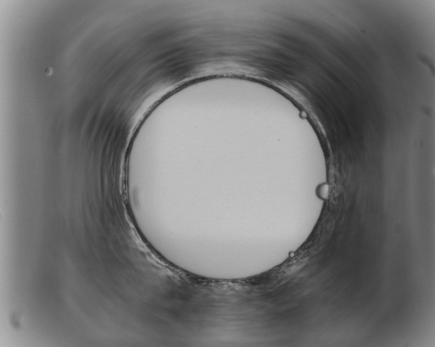 X0000103960815200809191333