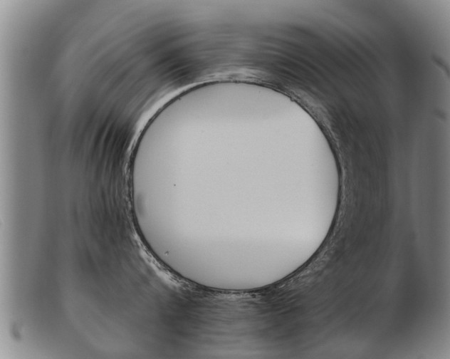 X0000103960816200809191333