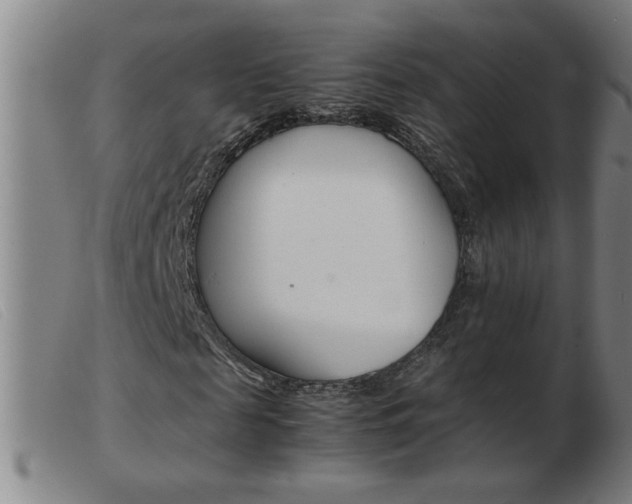 X0000103960817200809191332