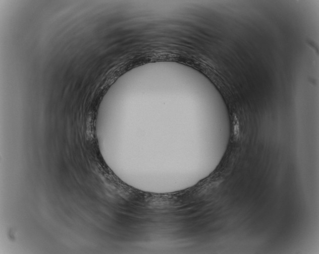 X0000103960819200809191332