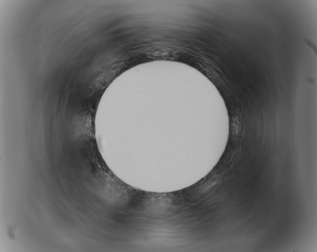 X0000103960820200809191332