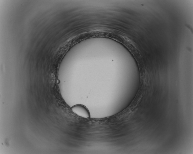 X0000103960821200809191332