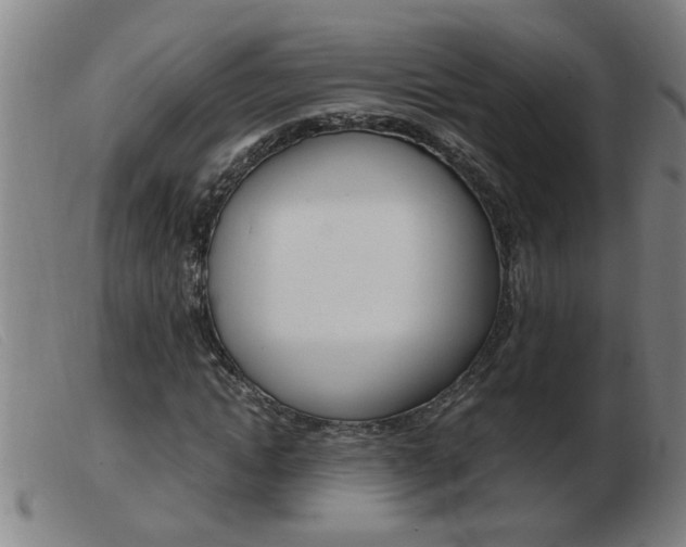 X0000103960822200809191332