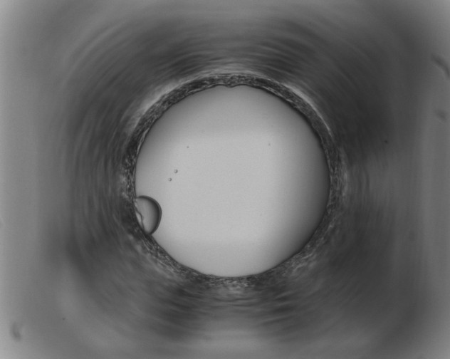 X0000103960823200809191332