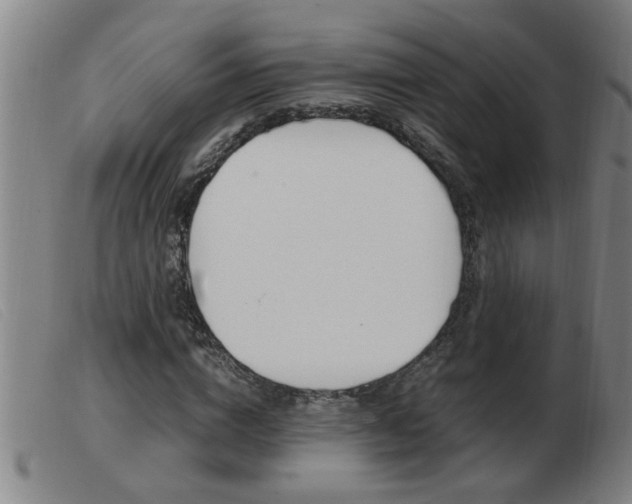 X0000103960824200809191332