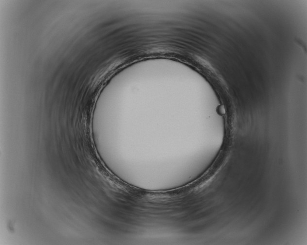 X0000103960825200809191332
