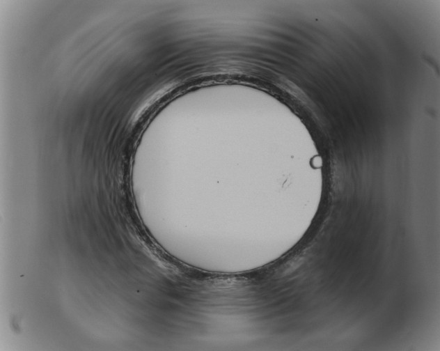 X0000103960826200809191332