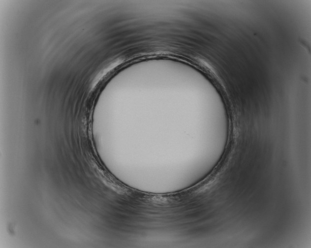 X0000103960827200809191332