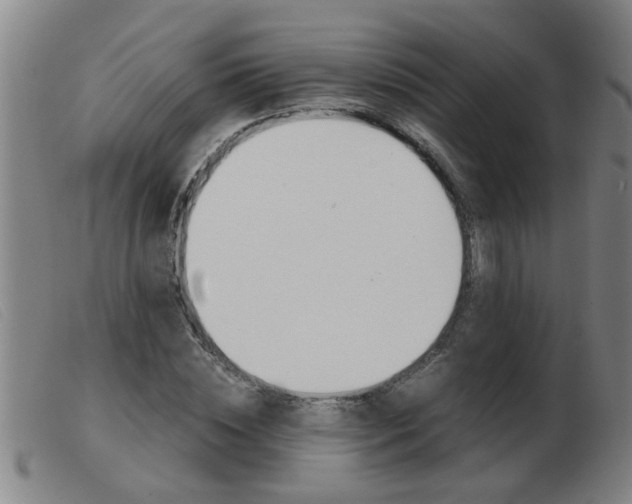 X0000103960828200809191332