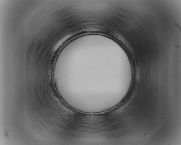 X0000103960829200809191332