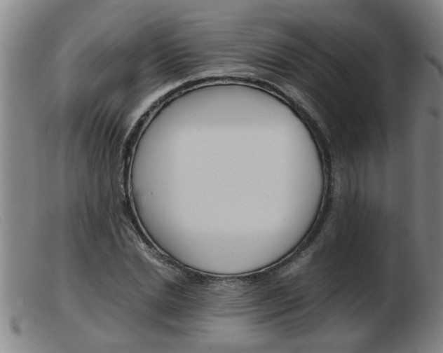 X0000103960830200809191332