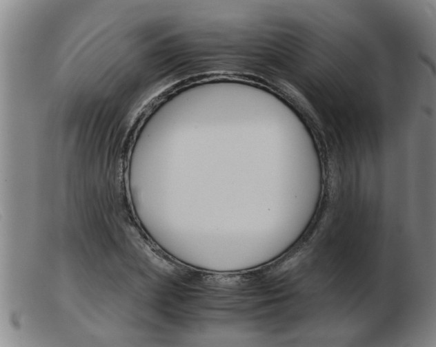 X0000103960831200809191332