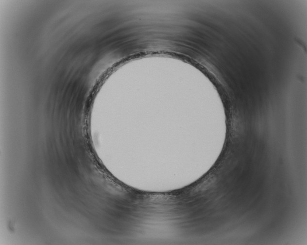 X0000103960832200809191332