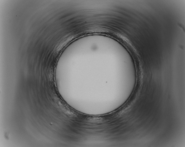 X0000103960833200809191332