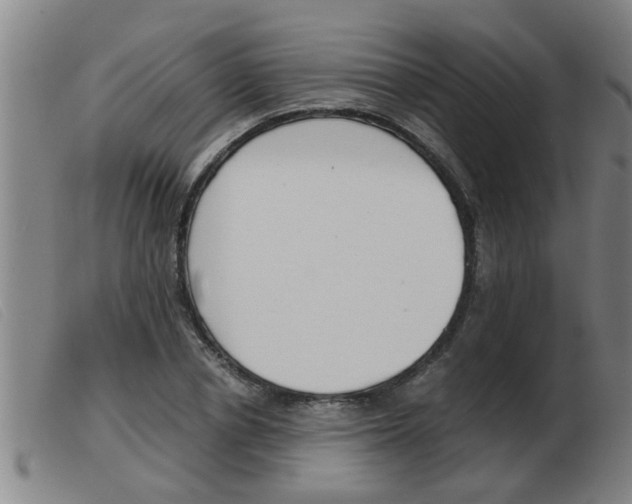 X0000103960834200809191332