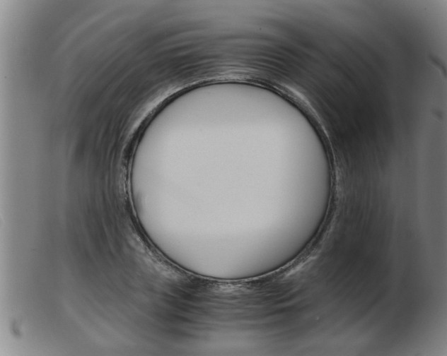 X0000103960835200809191332