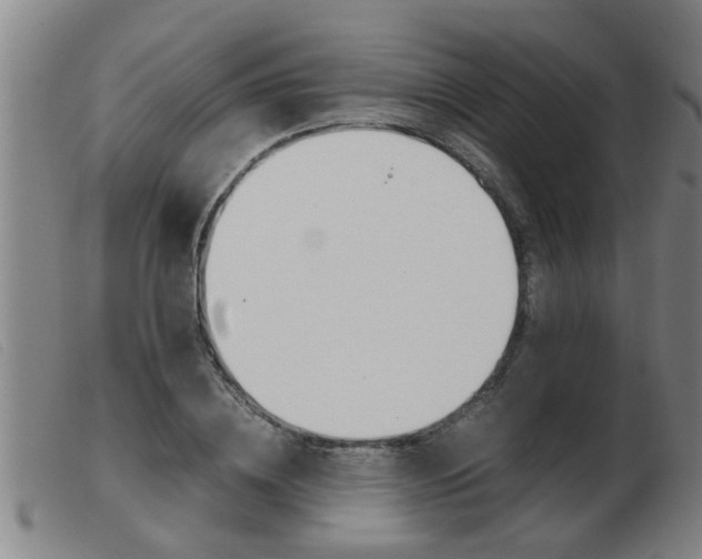 X0000103960836200809191332