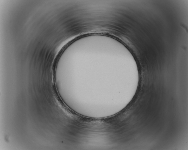 X0000103960838200809191332