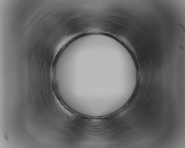 X0000103960839200809191332