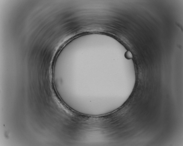 X0000103960840200809191332