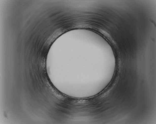 X0000103960841200809191332