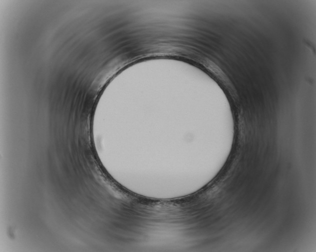 X0000103960842200809191332