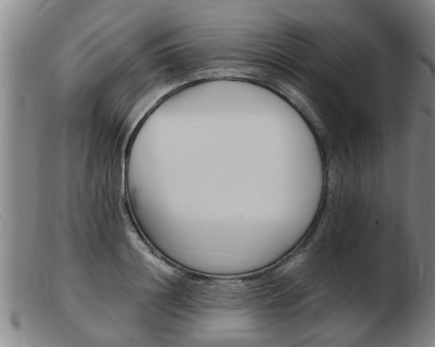 X0000103960844200809191332