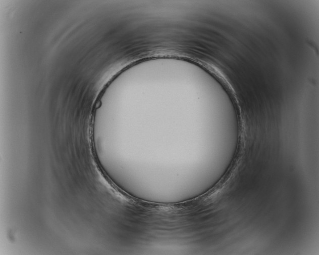 X0000103960847200809191332