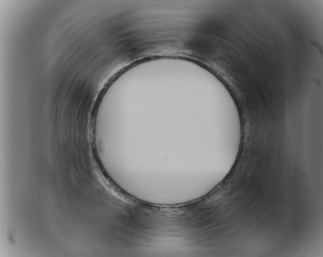 X0000103960848200809191332