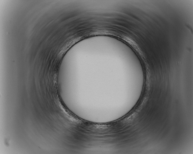 X0000103960849200809191332
