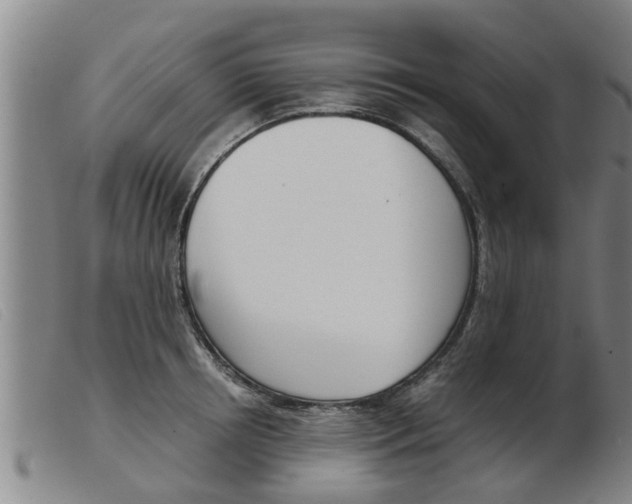 X0000103960850200809191332
