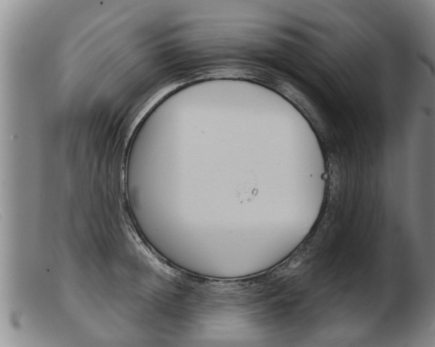 X0000103960852200809191333